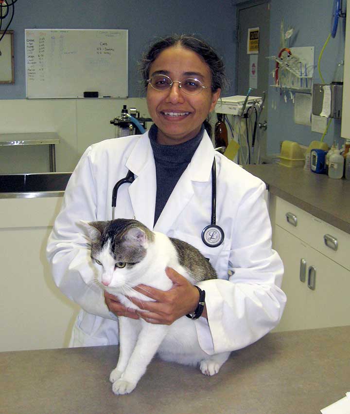 Dr. Ani Abraham, DVM